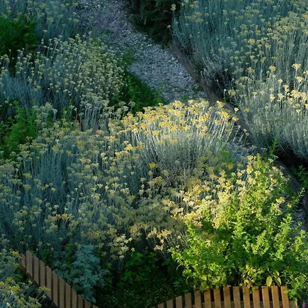 Dionisia's Home, Pool, On Monviso Unesco Alps *