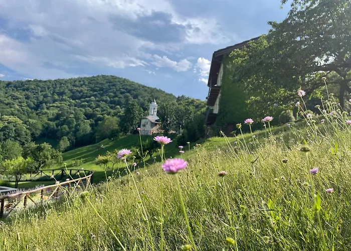 Dionisia's Home, Pool, On Monviso Unesco Alps Verzuolo