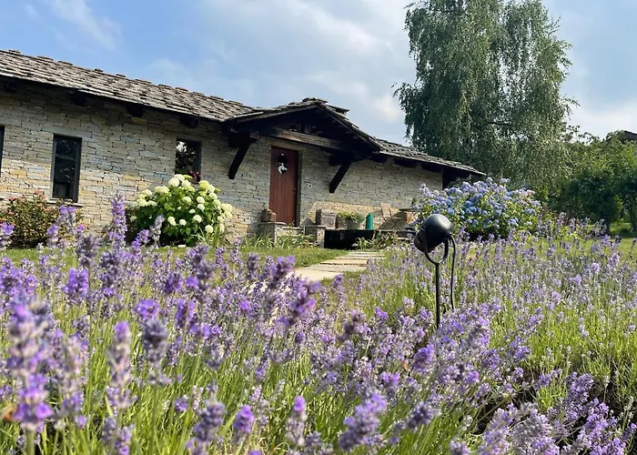 Villa Dionisia's Home, Pool, On Monviso Unesco Alps *