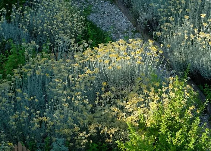 Dionisia's Home, Pool, On Monviso Unesco Alps *